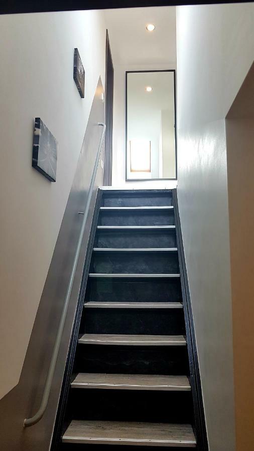 Zwei Schicke Apartments Mit Parkplatz 科隆 外观 照片