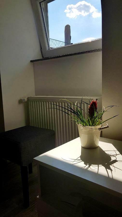 Zwei Schicke Apartments Mit Parkplatz 科隆 外观 照片